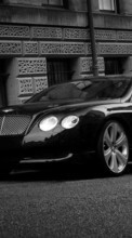 Télécharger une image 480x800 Transports,Voitures,Bentley pour le portable gratuitement.