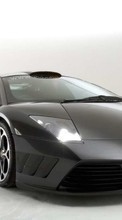 Télécharger une image 320x240 Transports,Voitures,Lamborghini pour le portable gratuitement.
