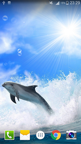Dauphin  - télécharger gratuit un fond d'écran animé Aquariums pour le portable.