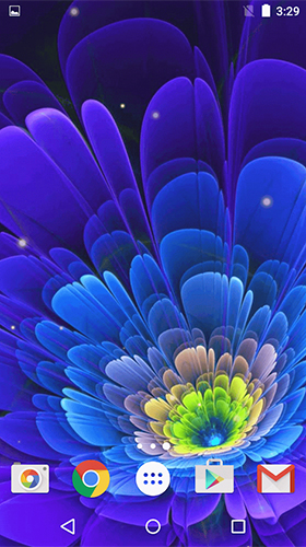 Fleurs lumineuses  - télécharger gratuit un fond d'écran animé Fleurs pour le portable.