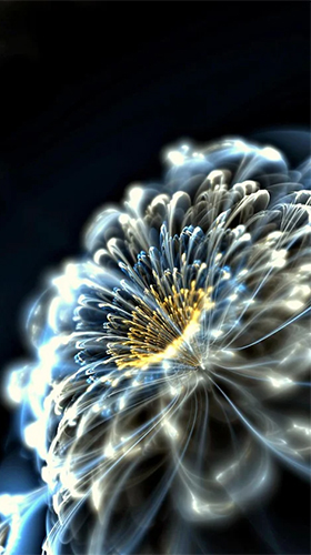Fleurs lumineuses  - télécharger gratuit un fond d'écran animé Abstrait pour le portable.