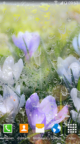 Fleurs de pluie  - télécharger gratuit un fond d'écran animé Fleurs pour le portable.