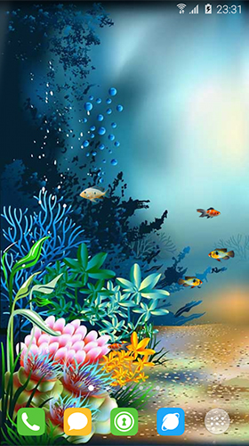 Monde sous-marin  - télécharger gratuit un fond d'écran animé Aquariums pour le portable.