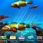 Outre le fond d'écran animé Homme d'eau pour Android téléchargez l'apk gratuit de screensaver Aquarium avec les amphiprions 3D .