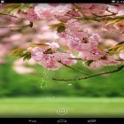 Outre le fond d'écran animé Iles polyèdres   pour Android téléchargez l'apk gratuit de screensaver Fleurs de printemps .