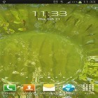 Outre le fond d'écran animé Voeux d'amour  pour Android téléchargez l'apk gratuit de screensaver Véritable eau .