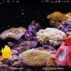 Outre le fond d'écran animé Rides d'eau  pour Android téléchargez l'apk gratuit de screensaver Aquarium.