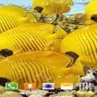 Outre le fond d'écran animé Le météore volant pour Android téléchargez l'apk gratuit de screensaver Aquarium .