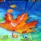 Outre le fond d'écran animé Fleurs dé néon  pour Android téléchargez l'apk gratuit de screensaver Feuilles d'automne.