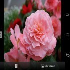 Outre le fond d'écran animé Boule colorée  pour Android téléchargez l'apk gratuit de screensaver Belles fleurs .