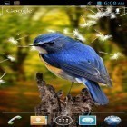 Outre le fond d'écran animé Eclat  pour Android téléchargez l'apk gratuit de screensaver Oiseaux 3D .