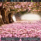 Outre le fond d'écran animé Météo   pour Android téléchargez l'apk gratuit de screensaver Cerises fleurissantes .
