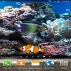 Outre le fond d'écran animé Nuit d'hiver pour Android téléchargez l'apk gratuit de screensaver Poissons de corail 3D.