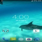 Outre le fond d'écran animé Loup  pour Android téléchargez l'apk gratuit de screensaver Dauphins HD .