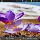 Outre le fond d'écran animé Météo   pour Android téléchargez l'apk gratuit de screensaver Printemps précoce: Nature.