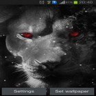 Outre le fond d'écran animé Terre et Lune 3D  pour Android téléchargez l'apk gratuit de screensaver Les yeux du lion.