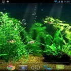 Outre le fond d'écran animé Soirée des fées   pour Android téléchargez l'apk gratuit de screensaver Aquarium HD.