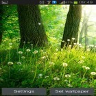 Outre le fond d'écran animé Floral pour Android téléchargez l'apk gratuit de screensaver Forêt .