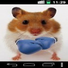Outre le fond d'écran animé Requins 3D  pour Android téléchargez l'apk gratuit de screensaver Hamster amusant: Ecran craqué.