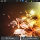 Outre le fond d'écran animé Météo   pour Android téléchargez l'apk gratuit de screensaver Fleurs lumineuses .