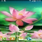 Outre le fond d'écran animé Lucioles   pour Android téléchargez l'apk gratuit de screensaver Fleurs de lotus .