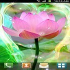 Outre le fond d'écran animé Lumière de lune  pour Android téléchargez l'apk gratuit de screensaver Lotus.