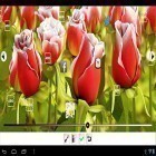 Outre le fond d'écran animé Soirée des fées   pour Android téléchargez l'apk gratuit de screensaver Ma fleur 3D.
