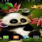 Outre le fond d'écran animé Images colorées   pour Android téléchargez l'apk gratuit de screensaver Panda.
