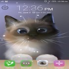 Outre le fond d'écran animé Tornade de feu  pour Android téléchargez l'apk gratuit de screensaver Peper le chaton .