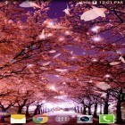 Outre le fond d'écran animé Fleurs dé néon  pour Android téléchargez l'apk gratuit de screensaver Sakura 3D.