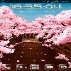 Outre le fond d'écran animé Vives couleurs   pour Android téléchargez l'apk gratuit de screensaver Le pont de sakura .