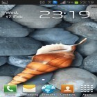 Outre le fond d'écran animé Boule de plasma  pour Android téléchargez l'apk gratuit de screensaver Coquillage de mer.