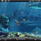 Outre le fond d'écran animé Eclat  pour Android téléchargez l'apk gratuit de screensaver Récif de requin .
