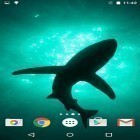 Outre le fond d'écran animé Hiver et neige pour Android téléchargez l'apk gratuit de screensaver Requins.