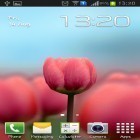 Outre le fond d'écran animé Bleu  pour Android téléchargez l'apk gratuit de screensaver Tulipe 3D.