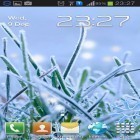 Outre le fond d'écran animé Phénix  pour Android téléchargez l'apk gratuit de screensaver Herbe d'hiver.