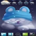 Outre le fond d'écran animé Courant spatial   pour Android téléchargez l'apk gratuit de screensaver Le chaton Yang.